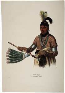 Naw-kaw, Capo Winnebago, stampa di Thomas Loraine McKenney, c.1840 da Charles Bird King